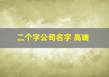 二个字公司名字 高端